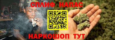 спиды Гусев