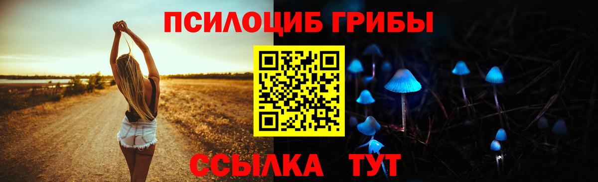 Малгобек  Псилоцибиновые грибы ЛСД  Вход с VPN  Псилоцибиновые грибы ЛСД 
